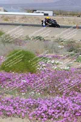 media/Feb-04-2023-SoCal Trackdays (Sat) [[8a776bf2c3]]/Turn 15 Inside Blooming (1050am)/